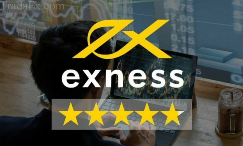 Các nền tảng giao dịch cho Exness hỗ trợ